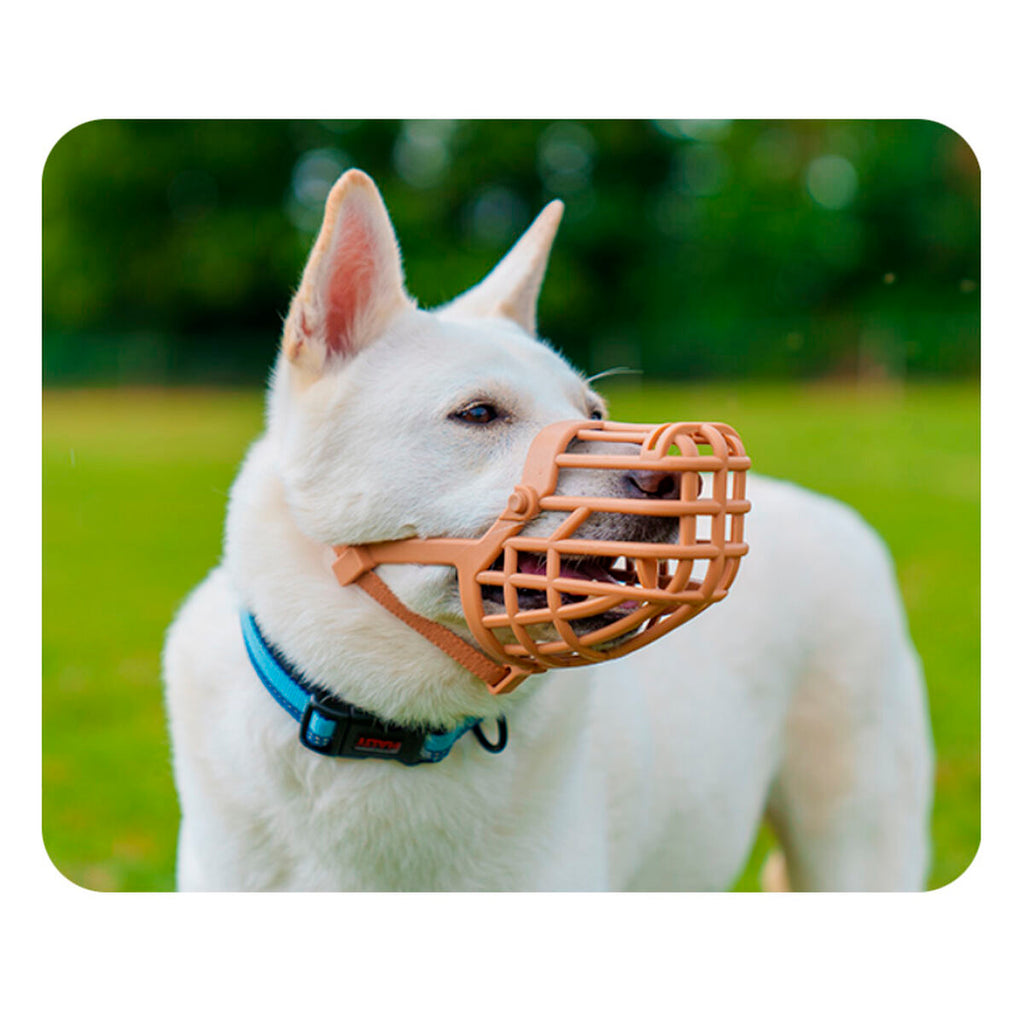 Muzzle Company of Animals Brown 3