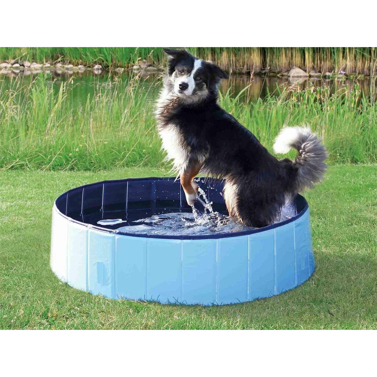 Dog Pool Trixie Light Blue Ø 70 × 12 CM-6