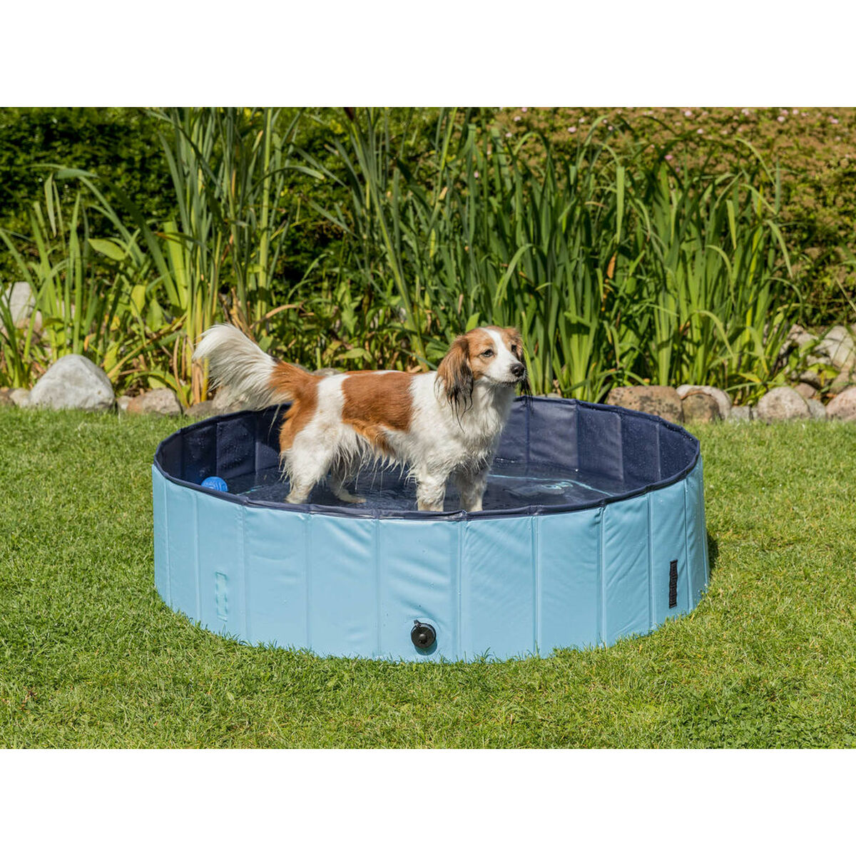 Dog Pool Trixie Light Blue Ø 70 × 12 CM-2