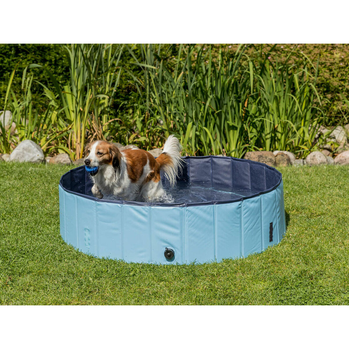 Dog Pool Trixie Light Blue Ø 70 × 12 CM-1