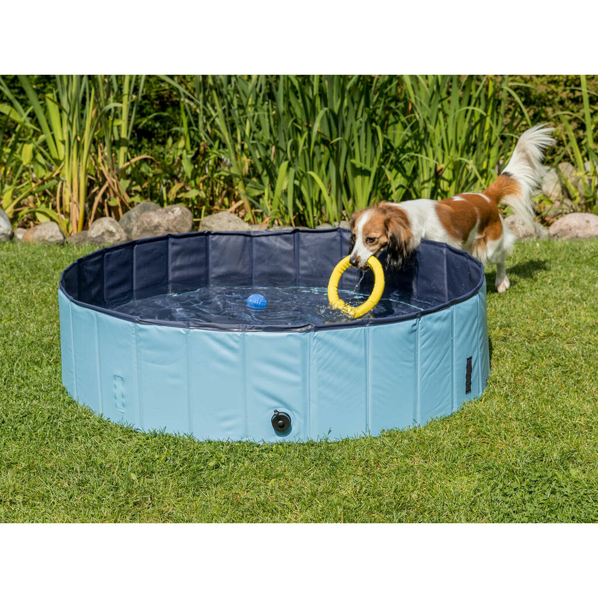 Dog Pool Trixie Light Blue Ø 70 × 12 CM-4