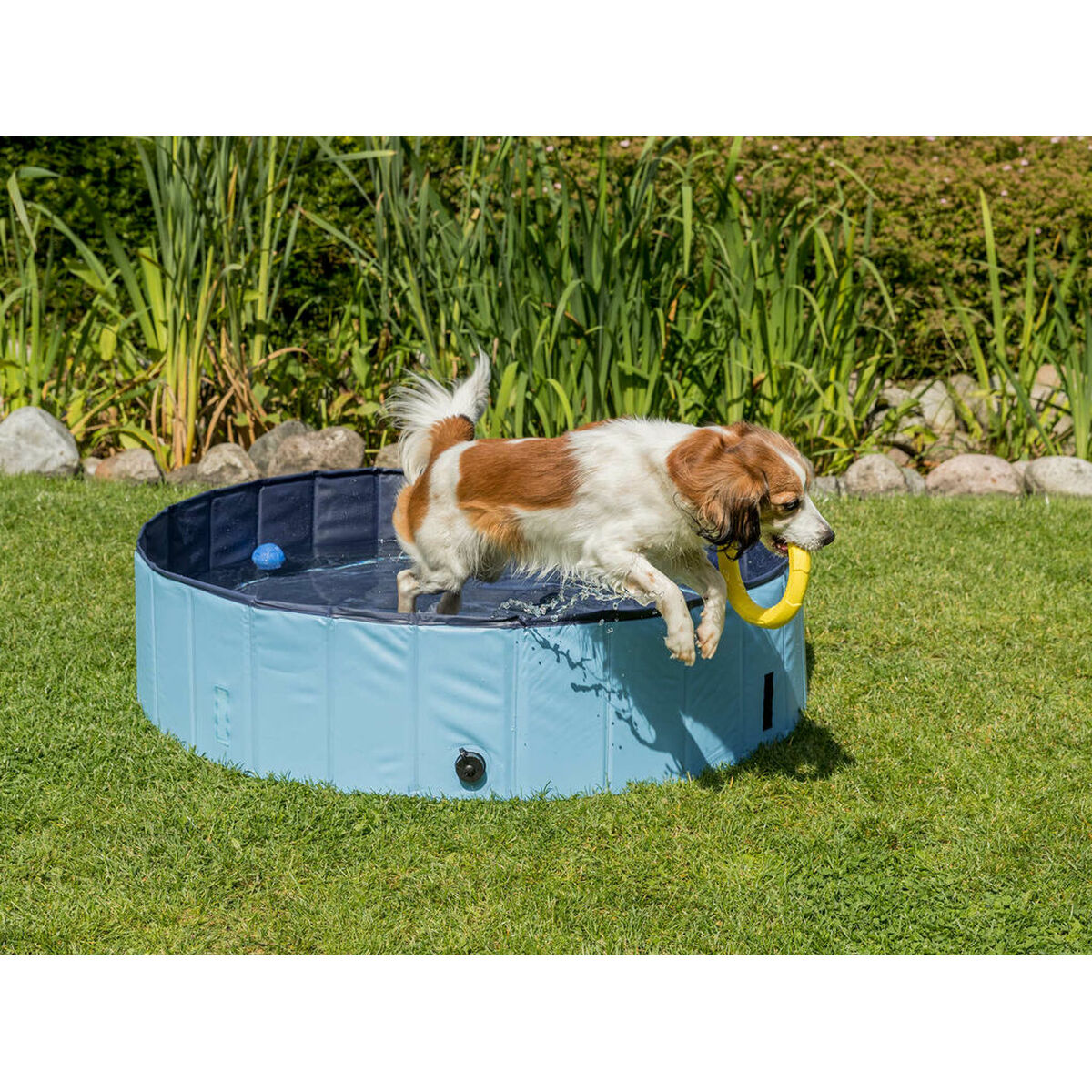 Dog Pool Trixie Light Blue Ø 70 × 12 CM-3
