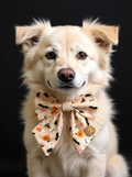 Handmade Dog Sailer Bow Tie - Halloween