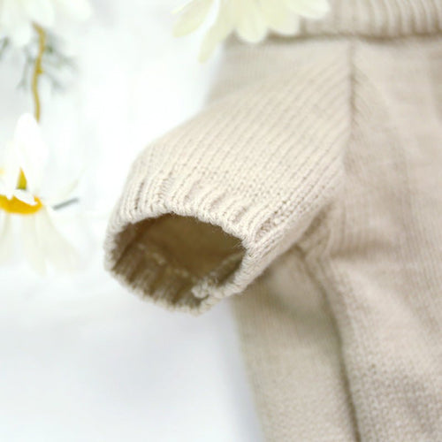 Christmas Dog Sweater